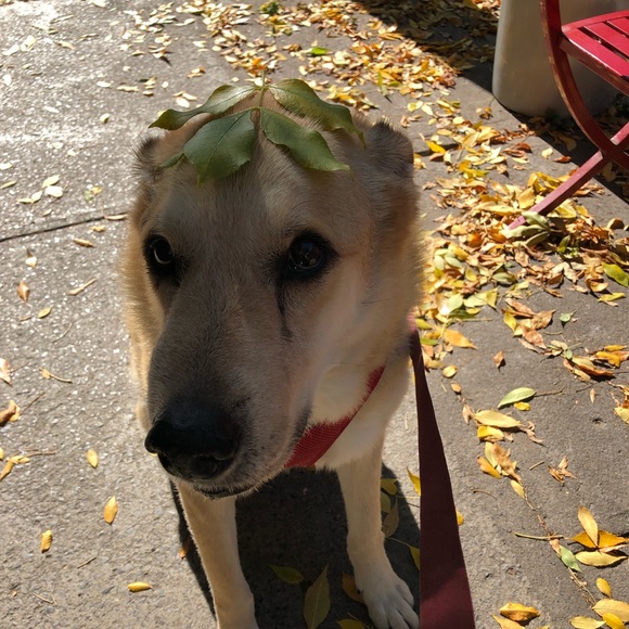 This closet is closing soon, make me an offer! - Picture 1 of 1